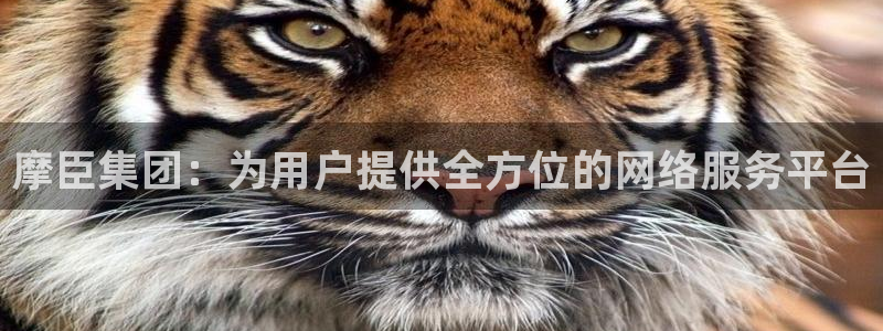 开心彩3登录：摩臣集团：为用户提供全方位的网络服务平台