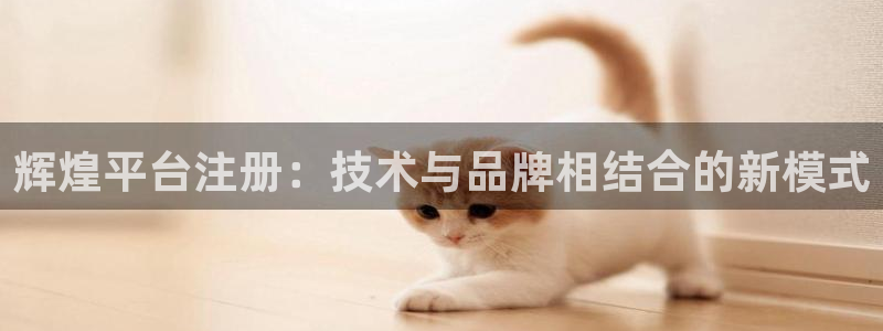 开心彩体育2：辉煌平台注册：技术与品牌相结合的新模式