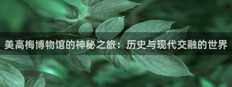 开心彩登录：美高梅博物馆的神秘之旅：历史与现代交融的世界