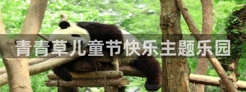 开心彩体育热门赛事有哪些：青青草儿童节快乐主题乐园