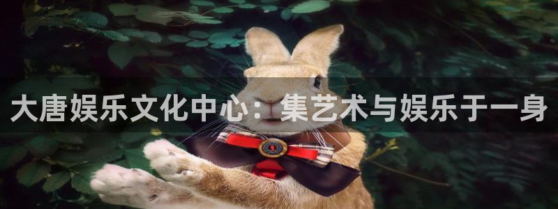 开心彩体育app下载：大唐娱乐文化中心：集艺术与娱乐于一身