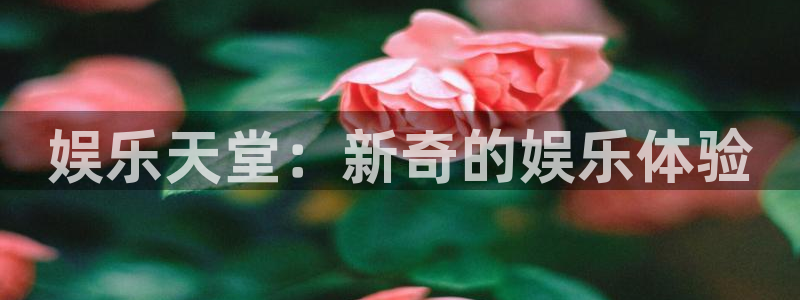 开心彩4代理：娱乐天堂：新奇的娱乐体验