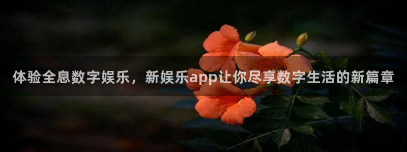 开心彩登录：体验全息数字娱乐，新娱乐app让你尽享数字生活的新篇章