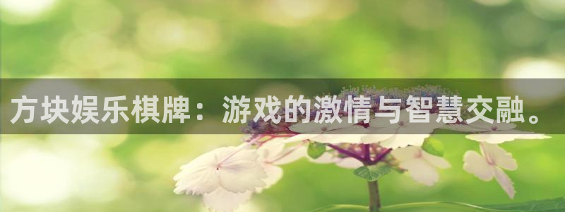 开心彩kgame：方块娱乐棋牌：游戏的激情与智慧交融。