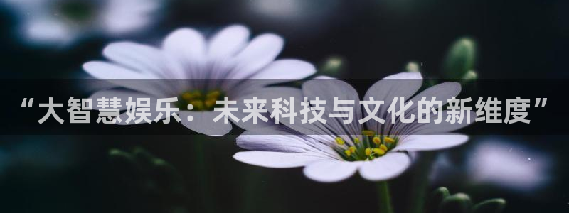 www.开心彩体育.com：“大智慧娱乐：未来科技与文化的新维度”
