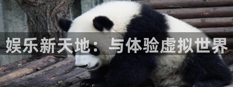 开心彩2注册：娱乐新天地：与体验虚拟世界