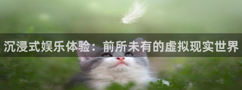 开心彩4平台：沉浸式娱乐体验：前所未有的虚拟现实世界