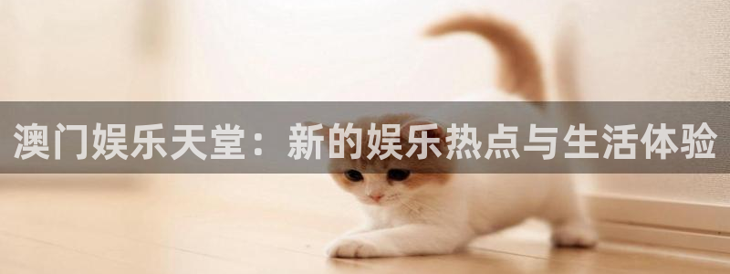 开心彩vk：澳门娱乐天堂：新的娱乐热点与生活体验